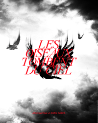 Les Oiseaux Tombent du Ciel Poster | 40x30cm