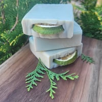 Image 1 of Turtle Island Soap Bar