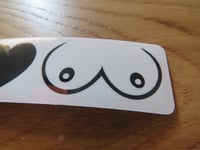 Image 4 of 'I Love Boobs' Sticker
