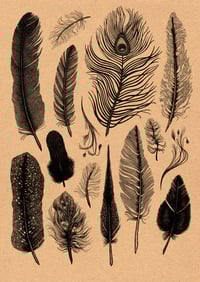 Image 1 of Plume