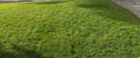 Biological Lawn Care