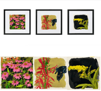 Image 1 of Watercolor Paintings Of Native Ohio Wildflowers