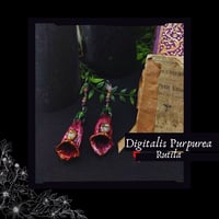 Image 1 of ☽ Digitalis Rutila ☾
