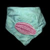 Beroe abyssicola bandana
