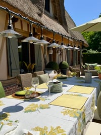 Image 3 of Nappe Mimosas