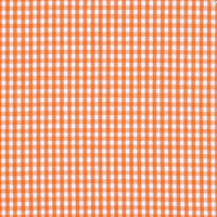 GINGHAM Basic C440-Autumn by RBD Studio for Riley Blake Designs