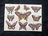 Butterflies 11" x 14"