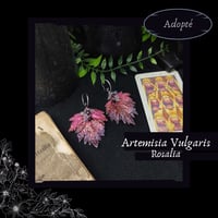 Image 1 of ☽ Artemisia Rosalia ☾