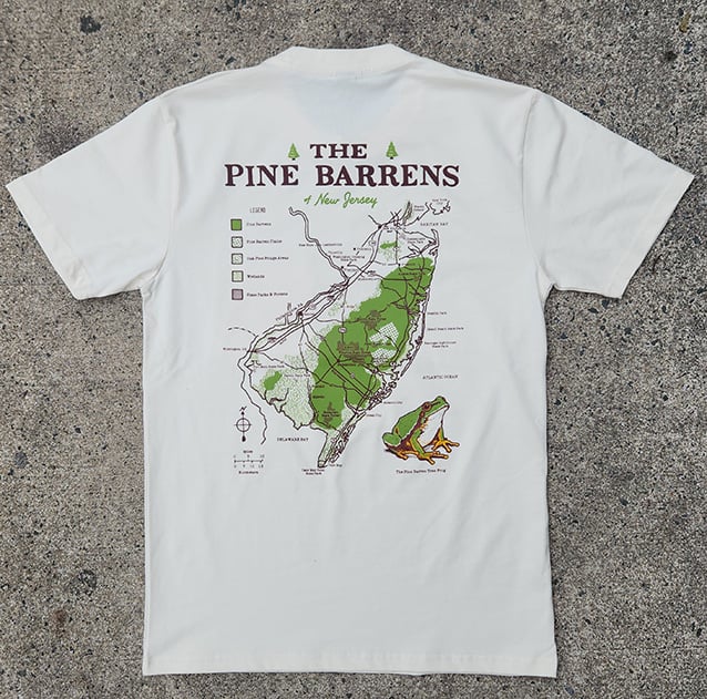 Image of The Pine Barrens of NJ
