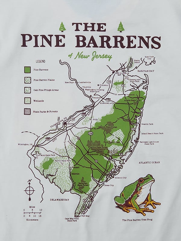 Image of The Pine Barrens of NJ