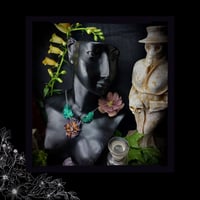 Image 3 of ☽ Viola Primavera Oscura ☾