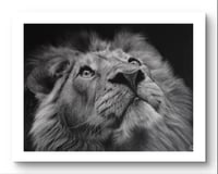 Image 1 of Giclee print“Moonlit guardian” 
