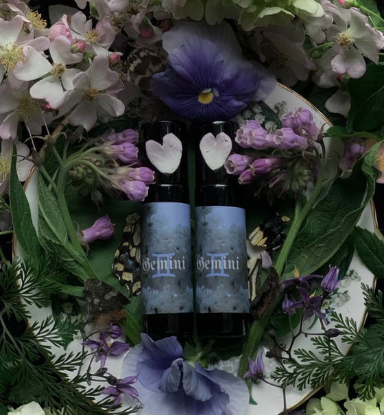 Image of Gemini Perfume (Palo santo, Lavender Absolute, Mimosa)