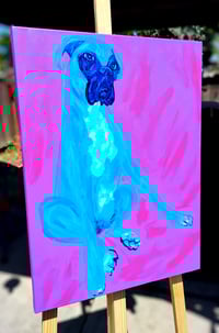 Image 1 of Teal Boxer Sitting on Purple