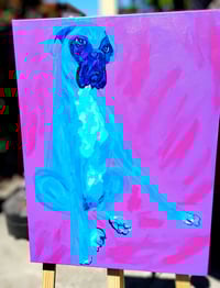Image 3 of Teal Boxer Sitting on Purple