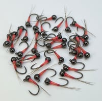 Image 1 of Idaho Stank