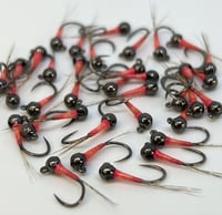 Image 2 of Idaho Stank