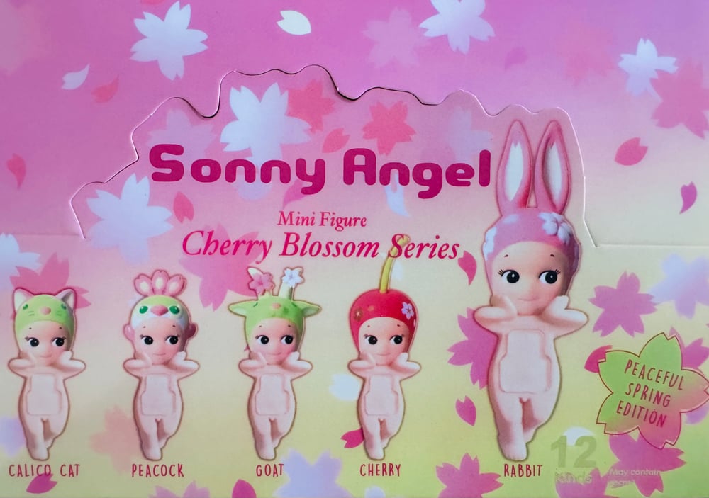 Cherry Blossom Hippers