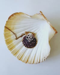 Image 1 of Mermaid Shell Necklace