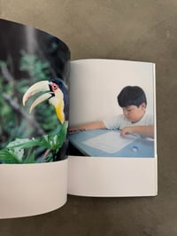 Image 7 of Semear - Rinko Kawauchi