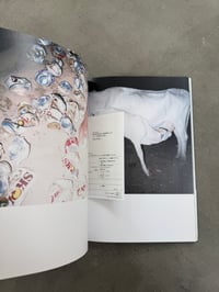 Image 8 of Semear - Rinko Kawauchi