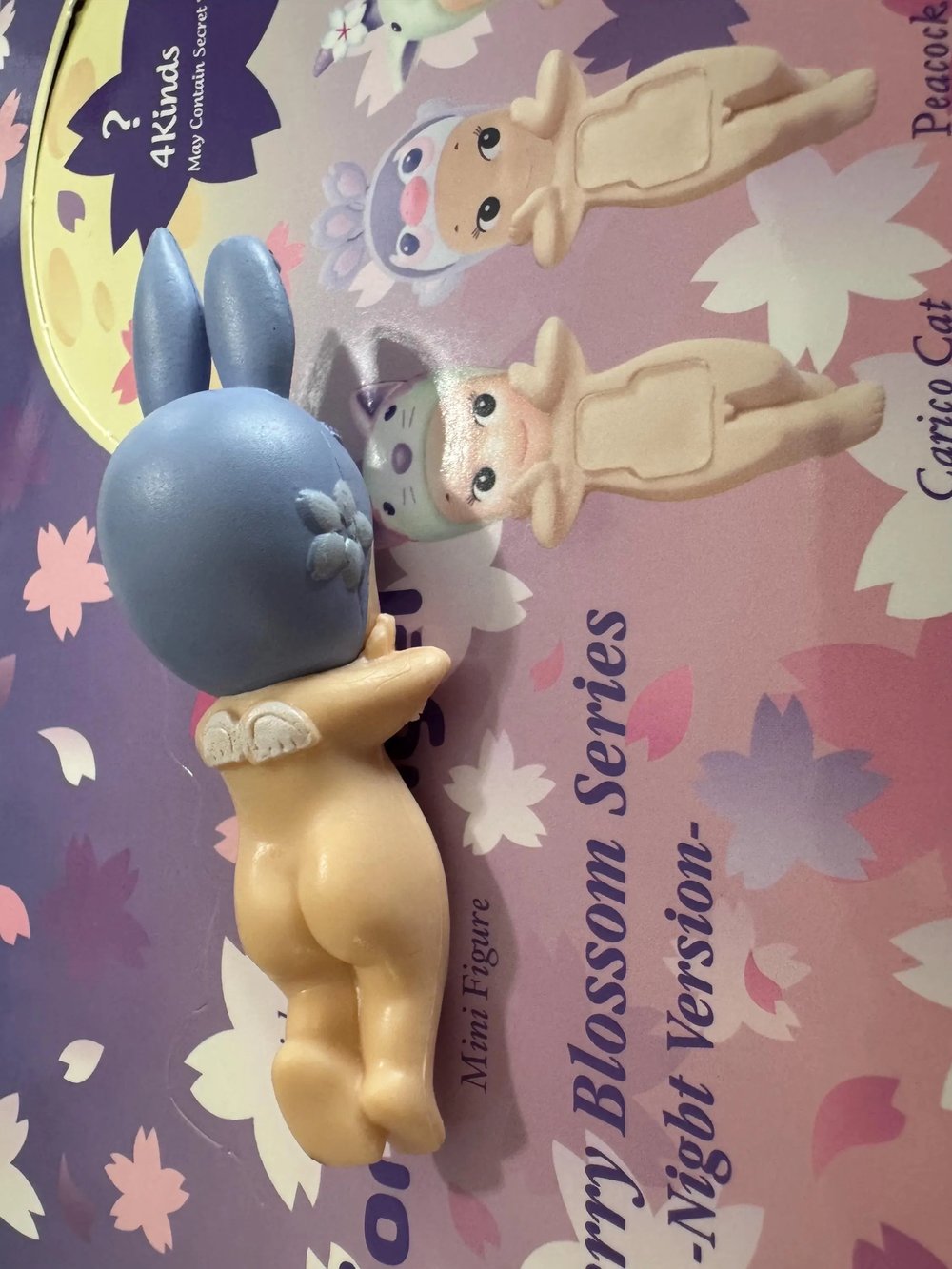 Night Serries Blossom
