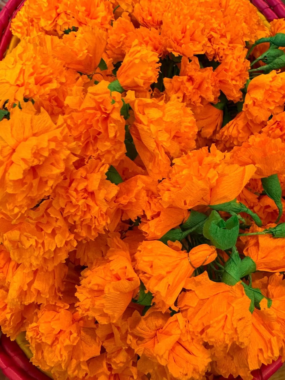 Mini Marigolds 