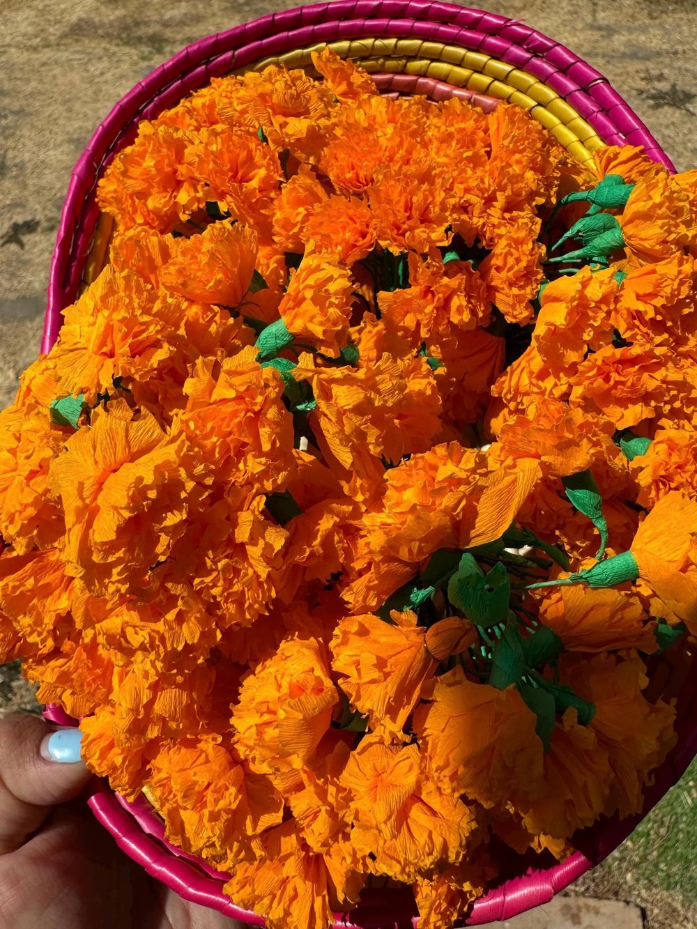 Mini Marigolds