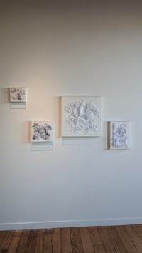 Image 2 of Melbourne Design Week - Organic Overlay