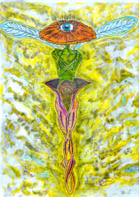 Fairy #9 - print