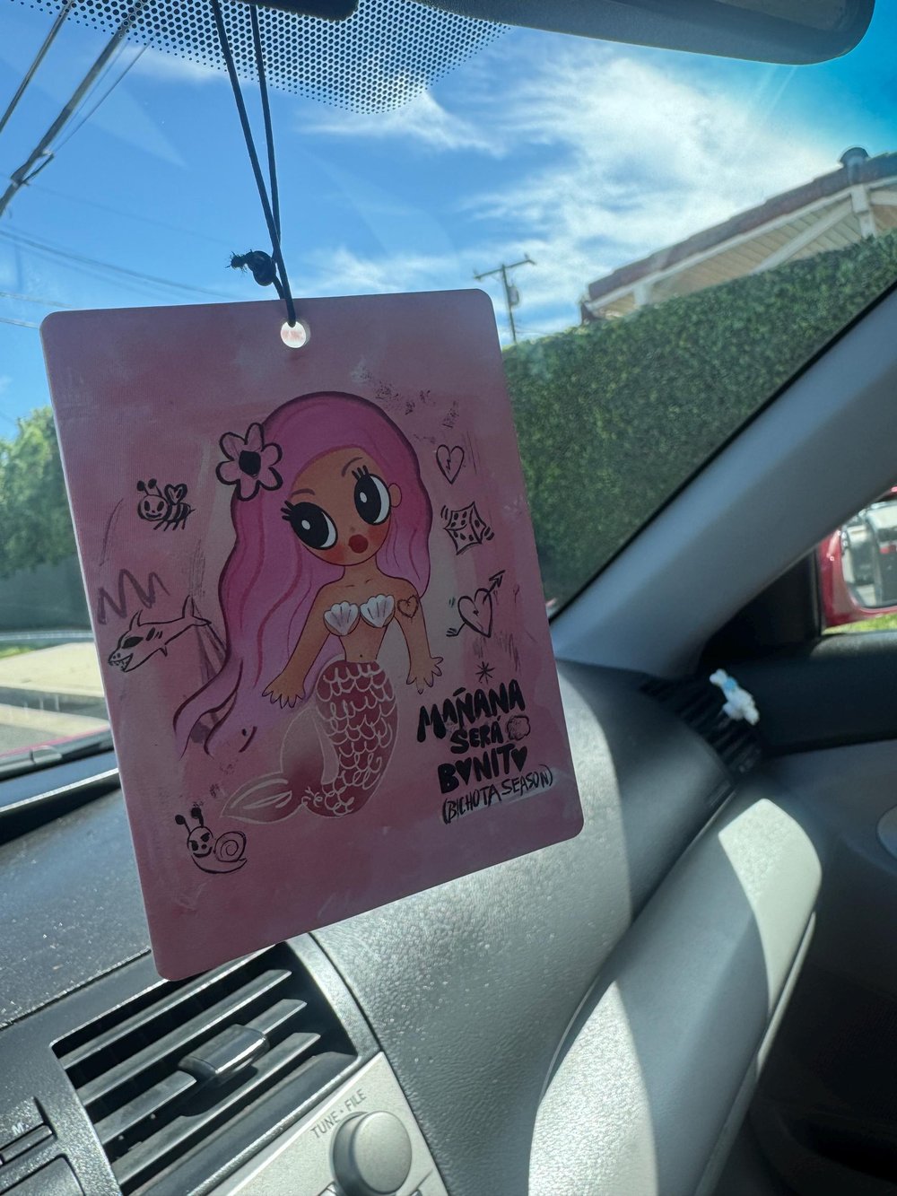Bichota Air Fresheners 