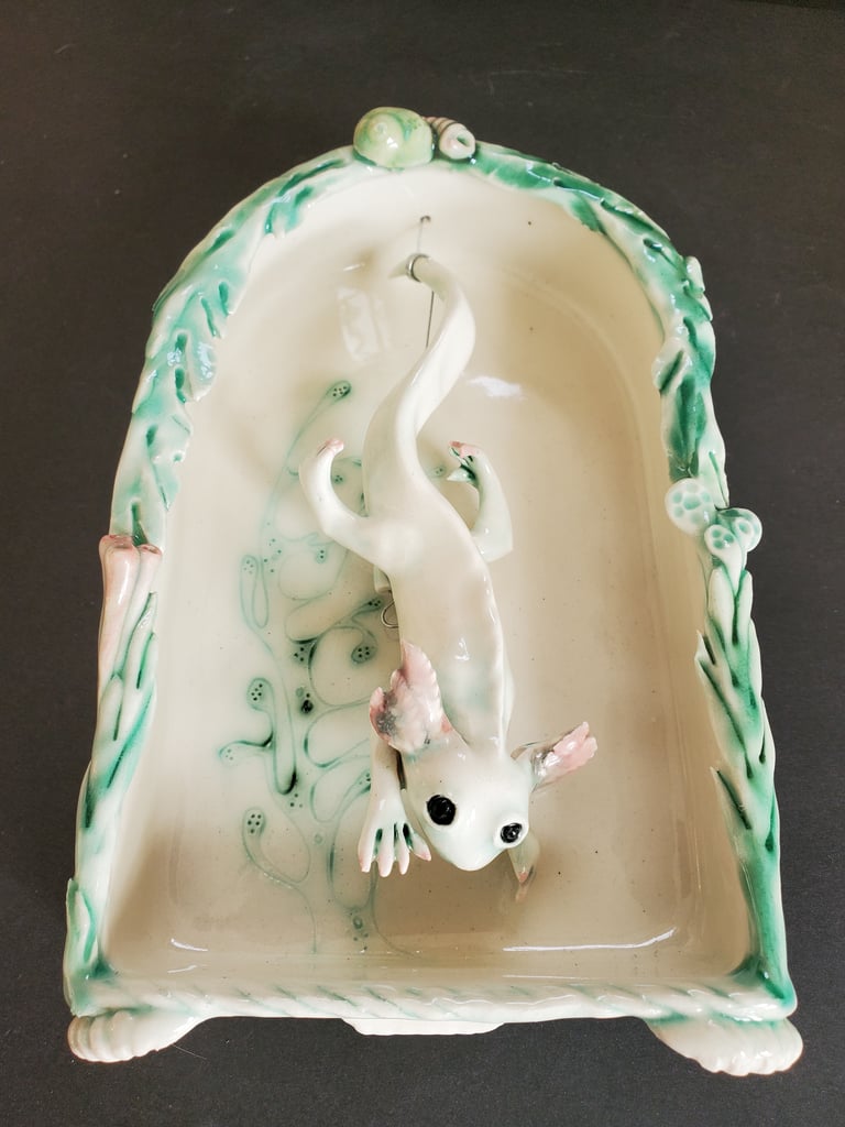 Axolotl Shadow Box Image 3