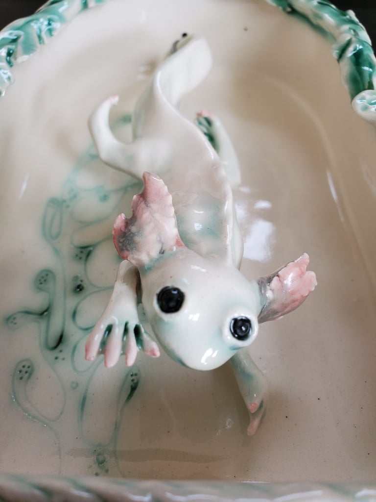 Axolotl Shadow Box Image 2