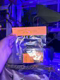 Image 3 of Fortune Dice Roll + Play Oracle Die