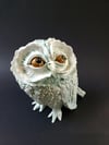 Feathered Owl #3