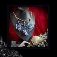 Image 4 of ☽ Hydrangea Hibernum ☾
