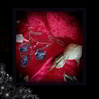 Image 5 of ☽ Hydrangea Hibernum ☾