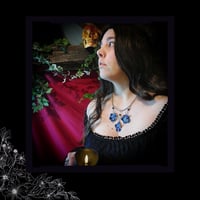 Image 8 of ☽ Hydrangea Hibernum ☾