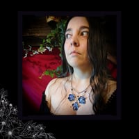 Image 10 of ☽ Hydrangea Hibernum ☾