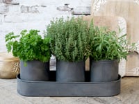 Image 2 of Set de 3 pots en zinc sur plateau