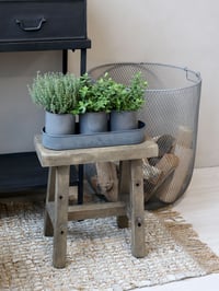 Image 4 of Set de 3 pots en zinc sur plateau