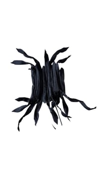 Image 2 of ETER CORSET