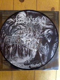 Image of Carpathian Wolves  - Picture LP
