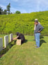 Private Australian ww1 battlefield 3 day tour Ypres to Amiens or Amiens to Ypres Image 5