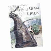 Image 1 of Urban Birds