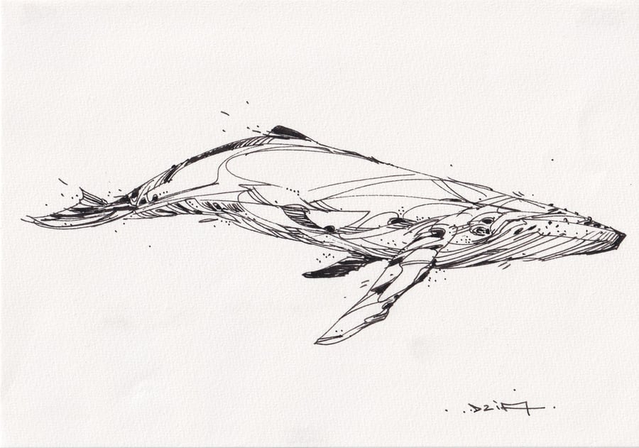 Image of FREE WILLY