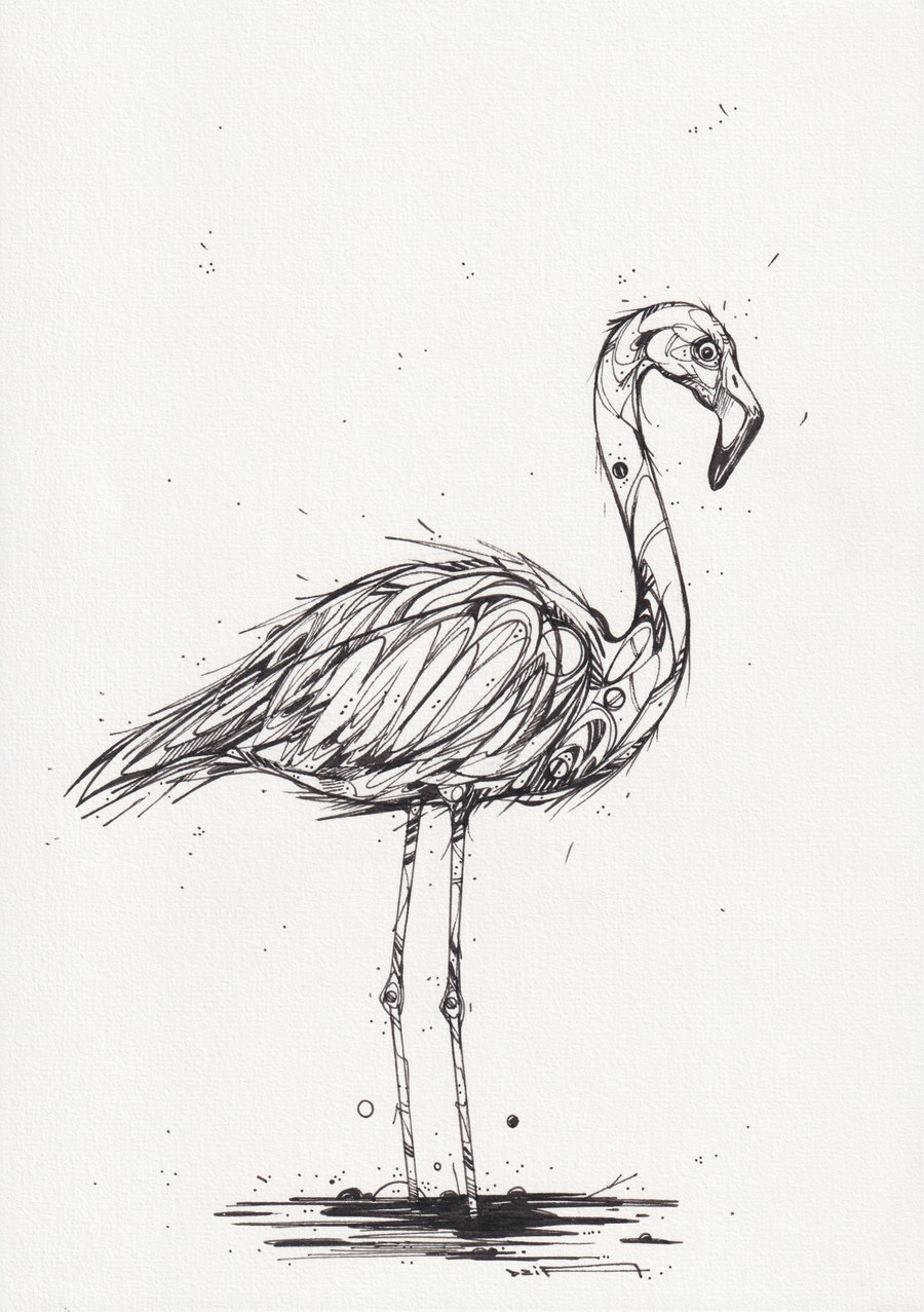 Image of FLAMINGO A