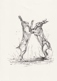 FIGHT CLUB HARE
