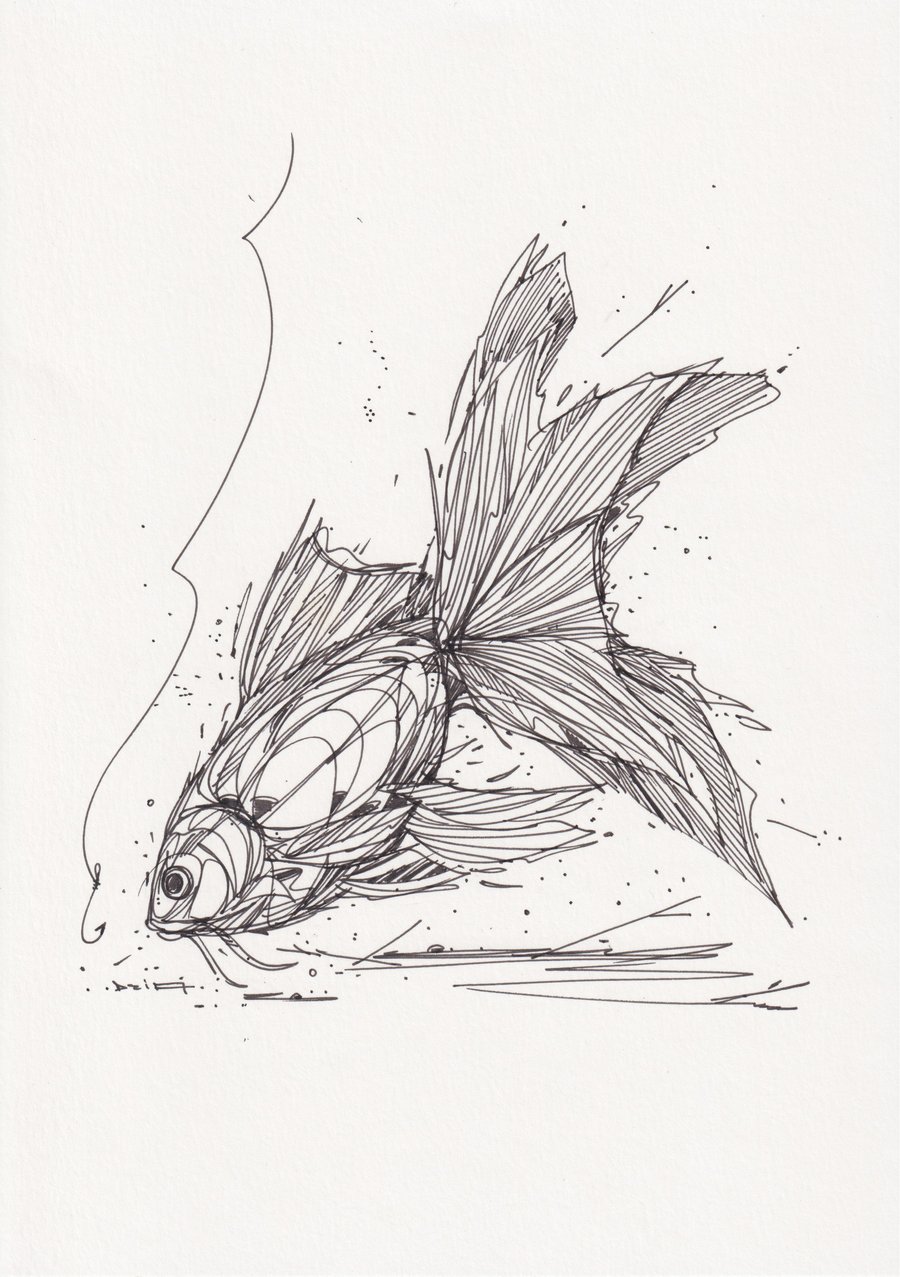 Image of NOT TODAY AGAIN FISH