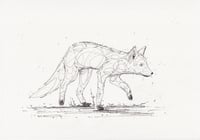 INVESTIGATION FOX